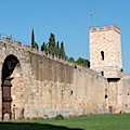Mura urbane di Pisa